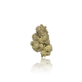 Exotic Flower