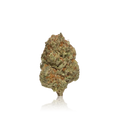 Budget Flower