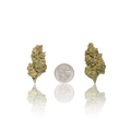 Budget Flower