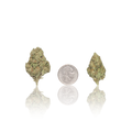 Value Flower