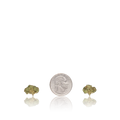 Budget Smalls