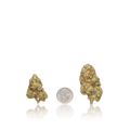 Budget Flower