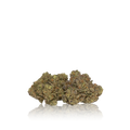 Bulk Premium