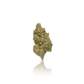 Budget Flower