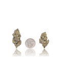 Premium Flower