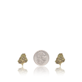 Exotic Smalls