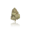 Exotic Flower