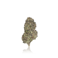 Premium Flower