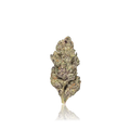 Premium Flower