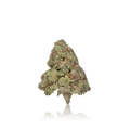 Bulk Premium
