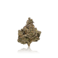 Exotic Flower