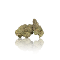 Exotic Flower