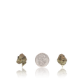 Exotic Smalls