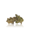 Exotic Flower