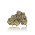 Exotic Flower