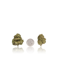 Bulk Budget