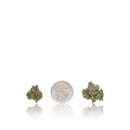 Bulk Premium Smalls