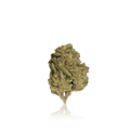 Bulk Budget