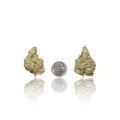 Exotic Flower
