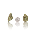 Premium Flower