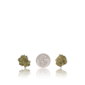 Premium Smalls