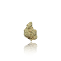 Exotic Flower