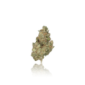 Premium Flower