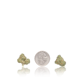 Exotic Smalls