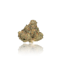 Exotic Flower