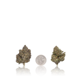 Bulk Exotic