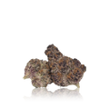 Exotic Flower