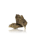 Budget Flower