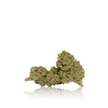 Bulk Premium