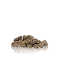 Exotic Smalls
