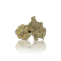 Exotic Flower