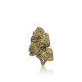 Bulk Budget