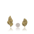 Budget Flower