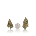 Premium Flower