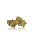 Exotic Flower