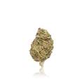 Budget Flower