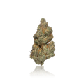 Premium Flower