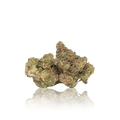 Exotic Flower
