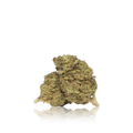 Budget Flower