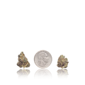 Premium Smalls