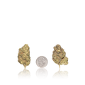 Budget Flower