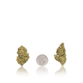 Budget Flower