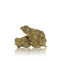 Budget Flower