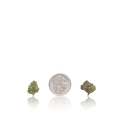 Bulk Exotic Smalls