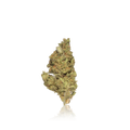 Budget Flower