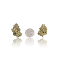 Premium Flower